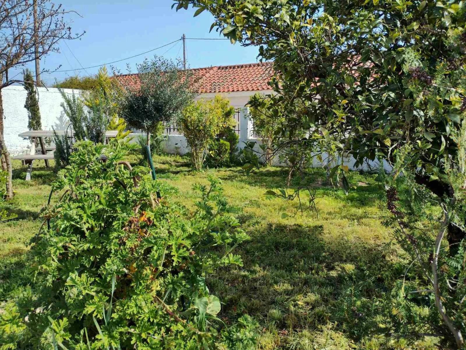 Nafplio Cottage-Grandma'S Yard Asíni Eksteriør bilde